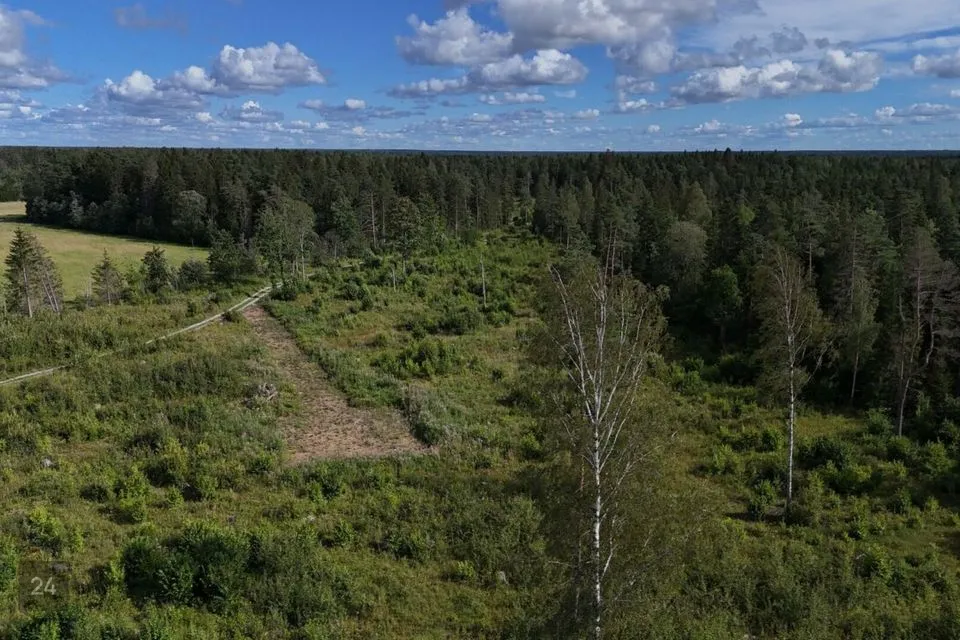 Maatulundusmaa, 27598 m² Maa  -  Lääne-Harju vald, Ohtu küla - foto 5
