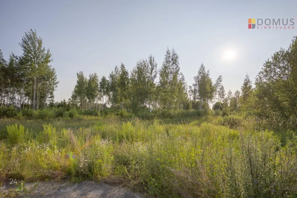 3149 m² Maa - foto 4