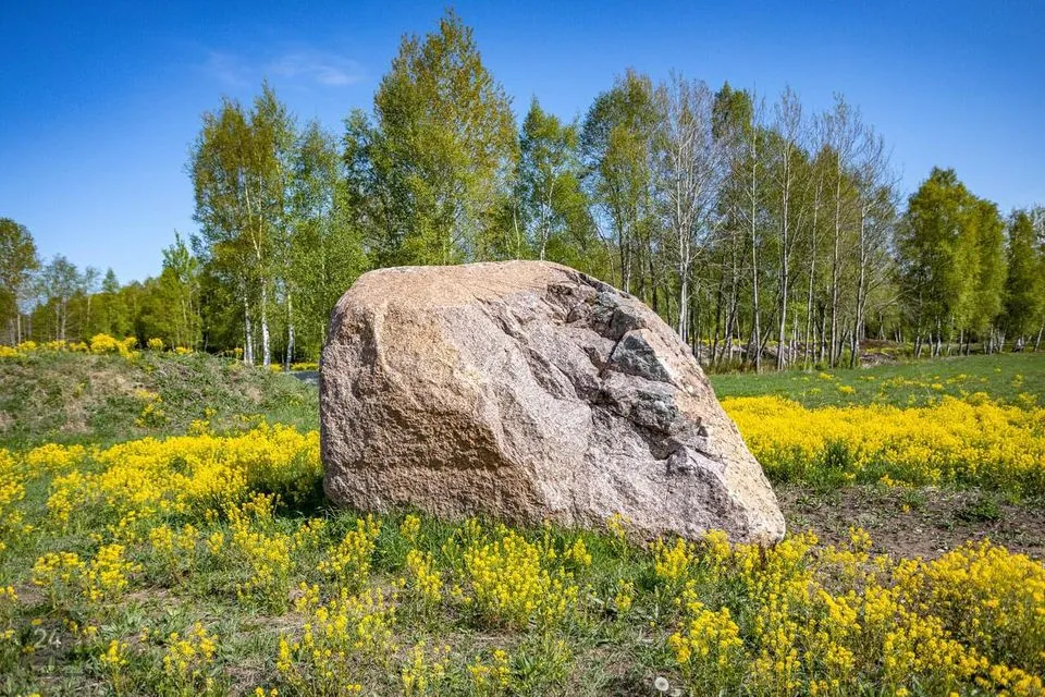 Maatulundusmaa, 29307 m² участок в Rae vald, Suursoo küla - фото 2