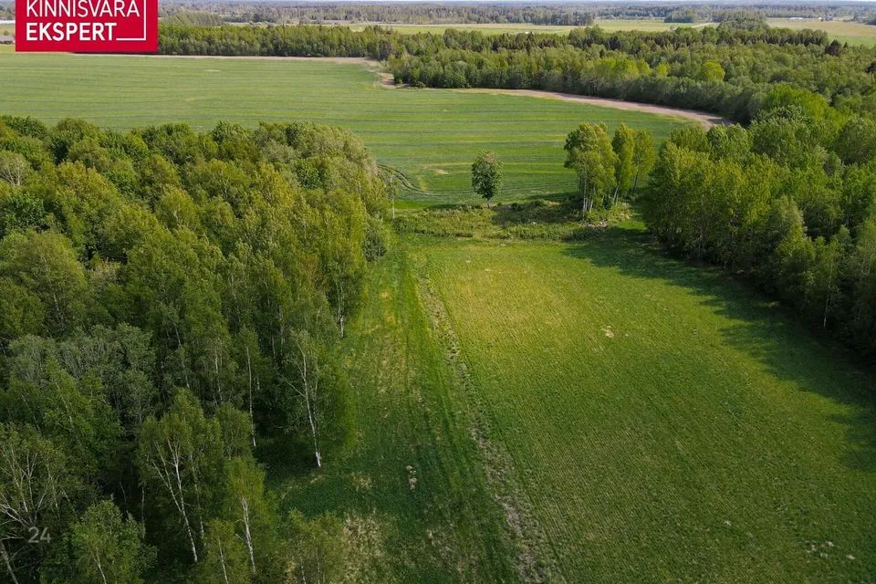 Maatulundusmaa, 239369 m² участок в Saku vald, Üksnurme küla - фото 4