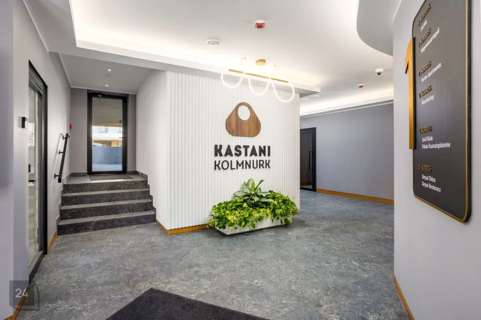 Büroo või Teenindus, 105 m² Äripind - Tartu linn, Tartu linn