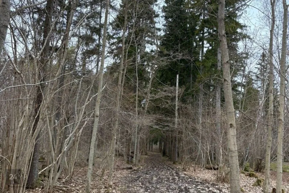 Maatulundusmaa, 78291 m² Maa  -  Muhu vald, Hellamaa küla - foto 4