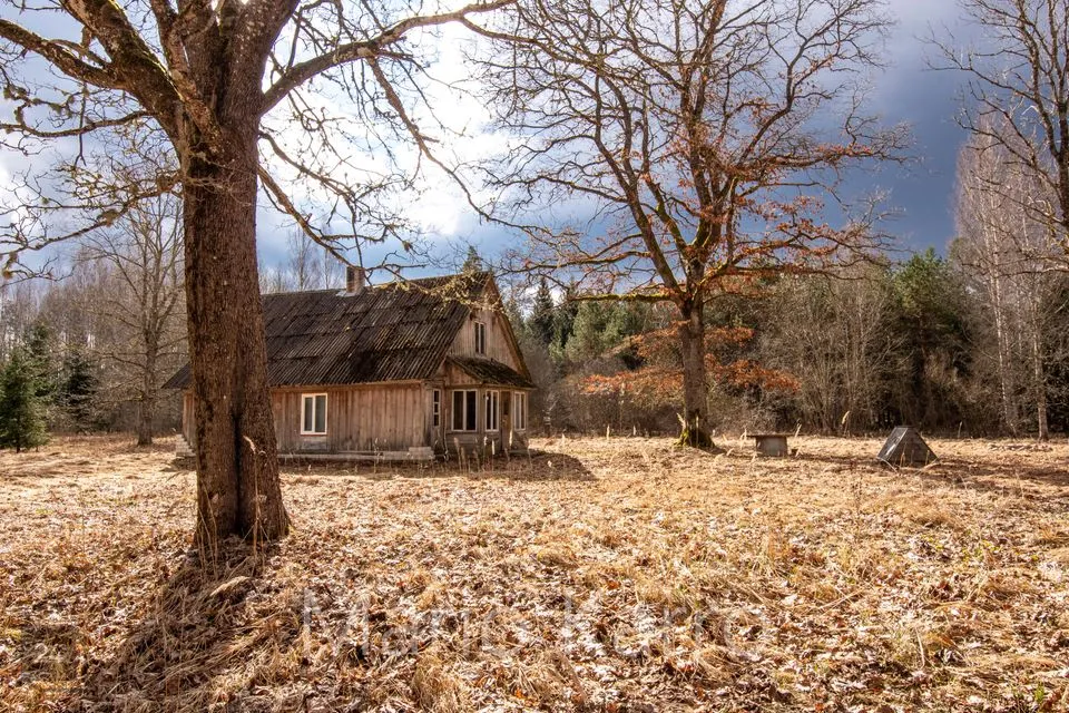 3-комнатная дом в Saarde vald, Kanaküla - фото 3