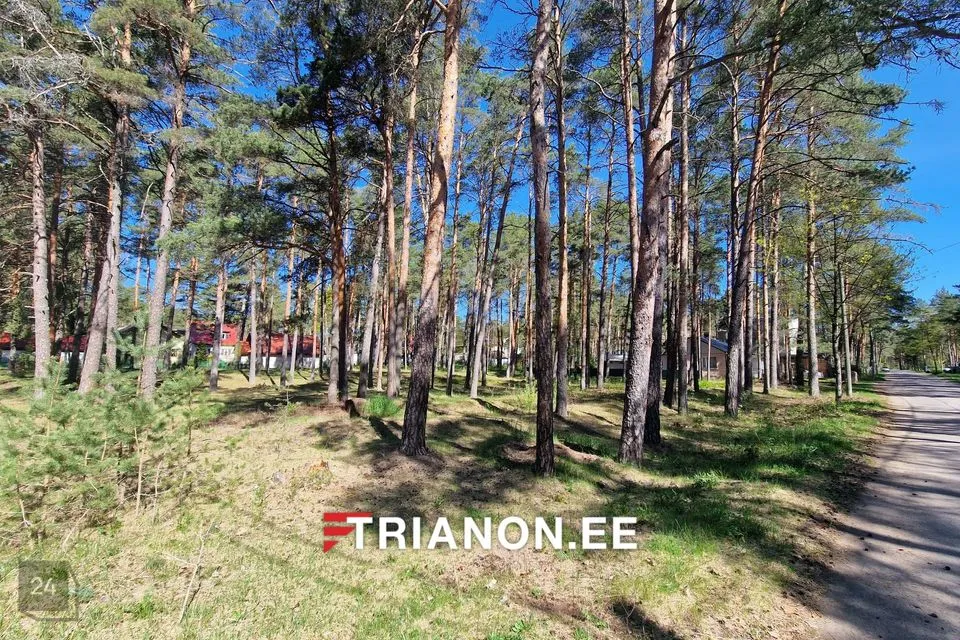 Elamumaa, 1467 m² Maa - Narva-Jõesuu linn, Narva-Jõesuu linn - foto 4