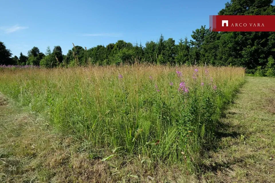 Elamumaa, 10557 m² Maa  -  Järva vald, Imavere küla - foto 4