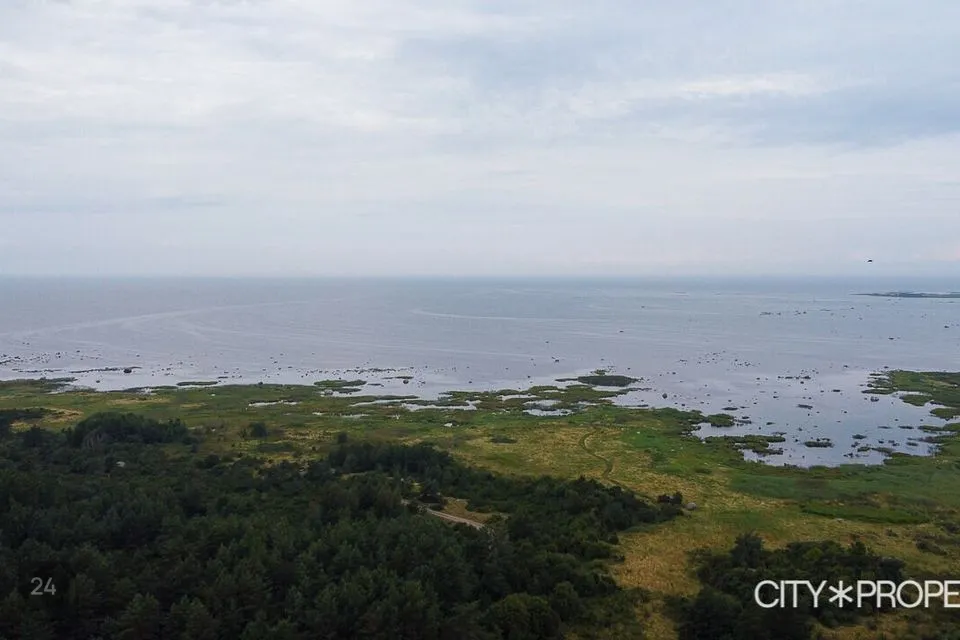 Unspecified land or Cultivated land, 12101 m² land in Viimsi vald, Lääneotsa küla - photo 5