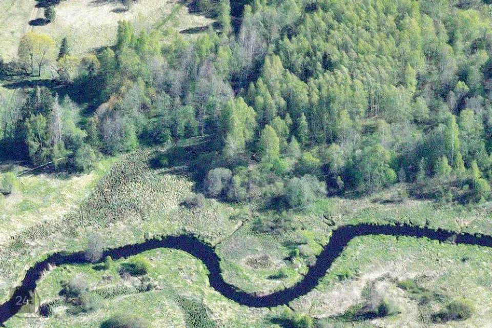 Maatulundusmaa, 50465 m² участок в Peipsiääre vald, Perametsa küla - фото 2