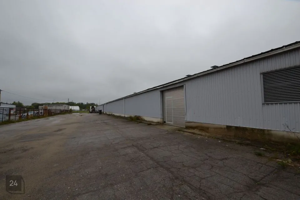 1550 m² business in Jõelähtme vald, Loo alevik - photo 2