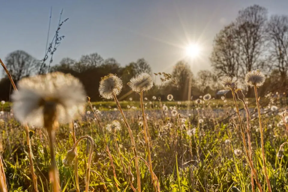 Elamumaa, 20000 m² Maa - Kiili vald, Sõmeru küla - foto 2