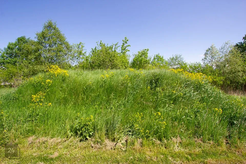 Земля жилой застройки, 1765 m² участок в Saue vald, Alliku küla - фото 4