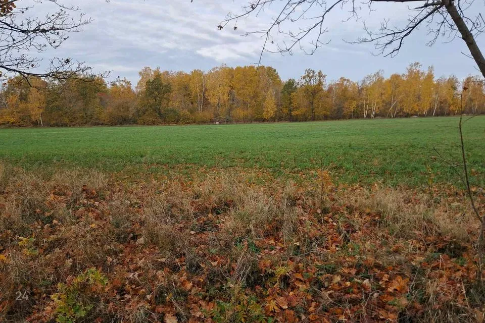 Maatulundusmaa, 25000 m² Maa - Saaremaa vald, Leisi küla
