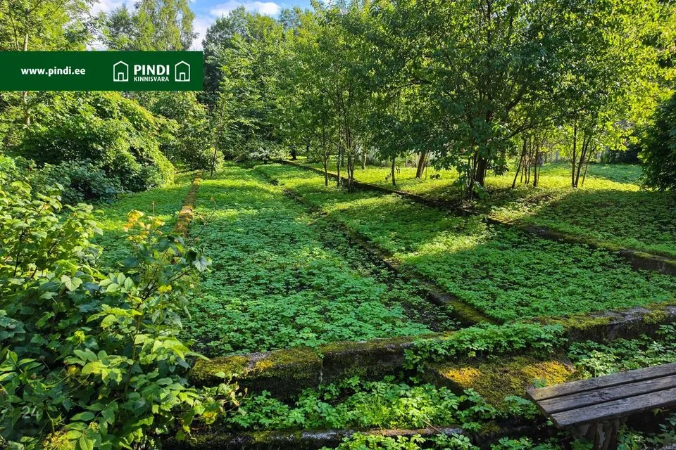 Maatulundusmaa, 21816 m² участок в Jõhvi vald, Servaääre küla - фото 4