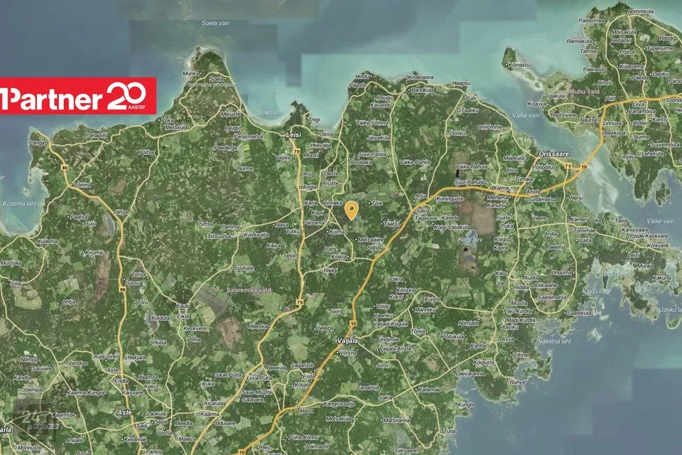 Maatulundusmaa, 62830 m² Maa  -  Saaremaa vald, Pärsama küla - foto 5