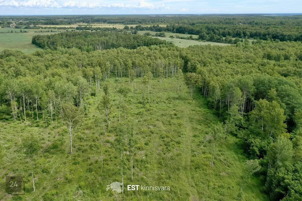 73294 m² Maa - Saaremaa vald, Audla küla - foto 4