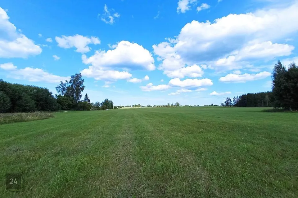 3511 m² Maa - Haljala vald, Võhma küla - foto 4