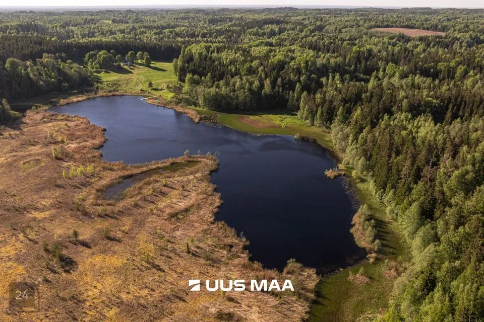 Maatulundusmaa, 500000 m² участок в Rõuge vald, Mahtja küla - фото 2