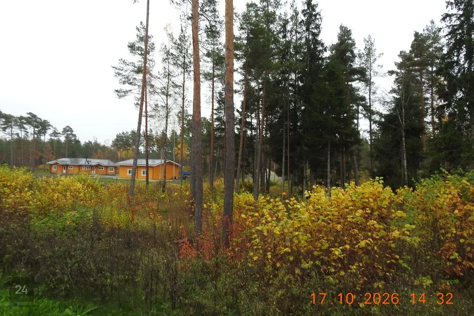 Elamumaa, 6053 m² Maa - Kohila vald, Aandu küla - foto 3