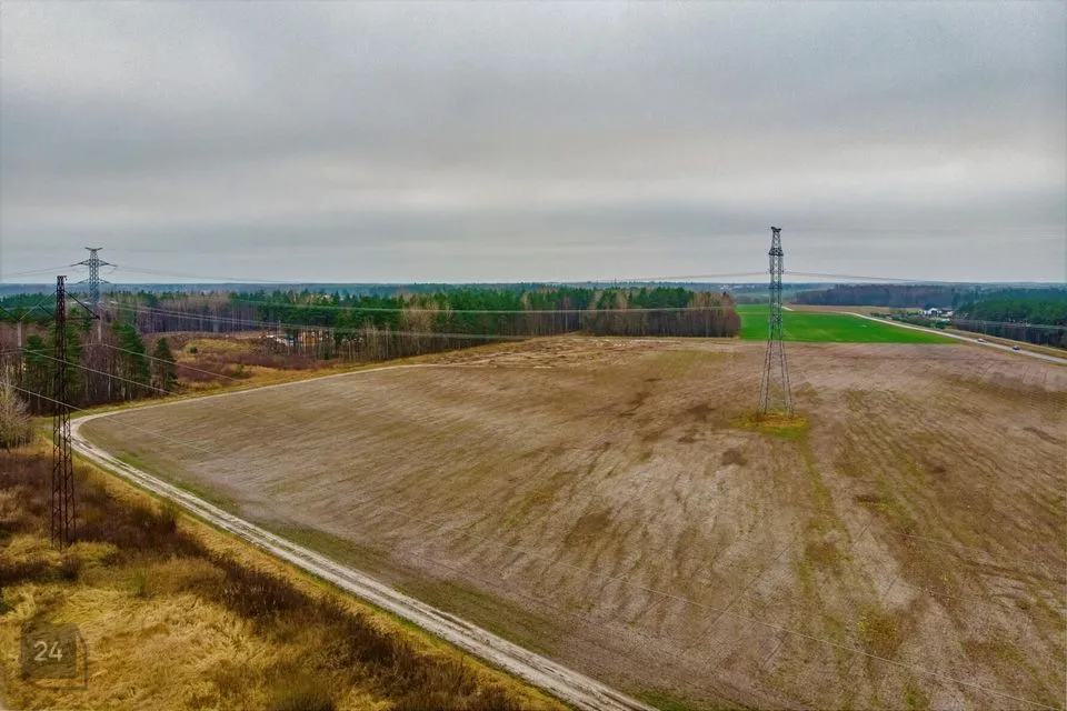 Maatulundusmaa, 46100 m² участок в Saue vald, Koidu küla - фото 4