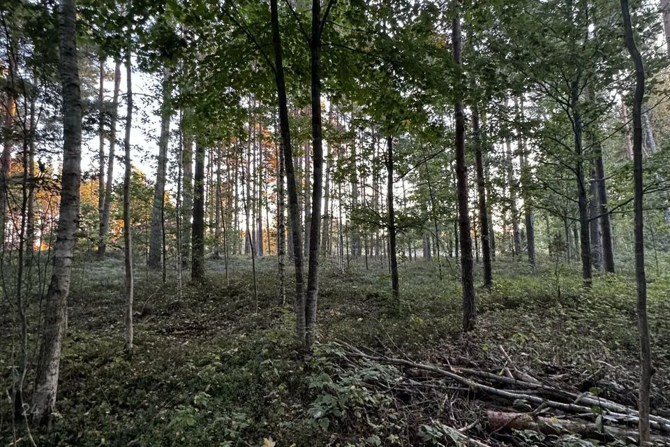 Земля жилой застройки, 1656 m² участок в Häädemeeste vald, Reiu küla - фото 4
