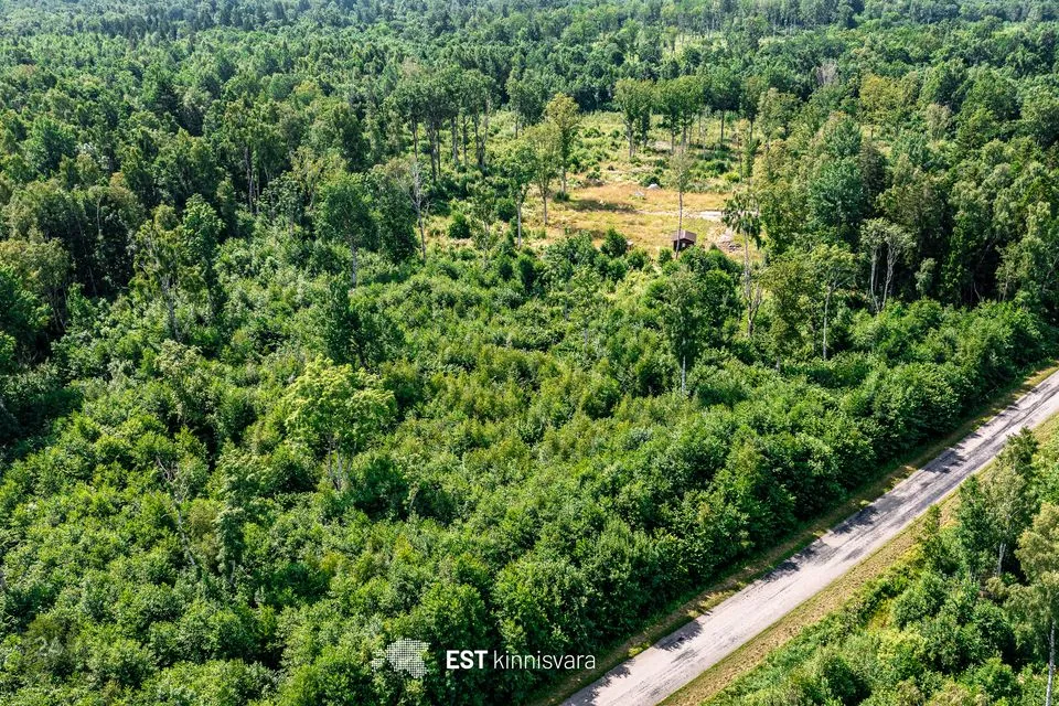 Maatulundusmaa, 13242 m² участок в Lääneranna vald, Rädi küla