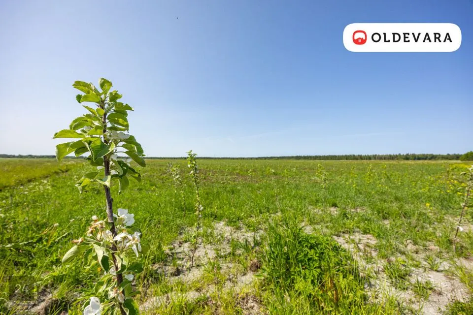 Maatulundusmaa, 39798 m² Maa  -  Saue vald, Tuula küla - foto 2