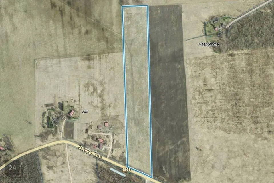 55000 m² Maa - Tori vald, Kilksama küla - foto 3