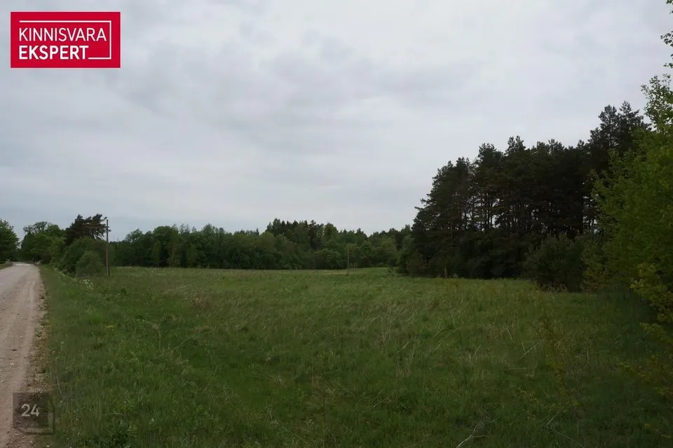 Maatulundusmaa, 45700 m² Maa - Lääneranna vald, Paadrema küla - foto 3