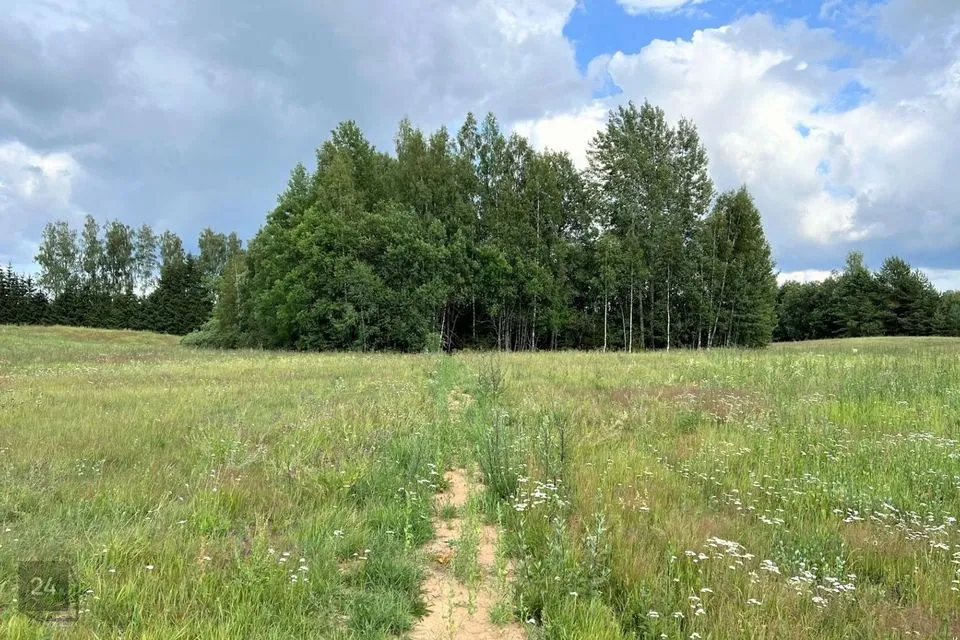 Земля жилой застройки, 18191 m² участок в Otepää vald, Ilmjärve küla - фото 5