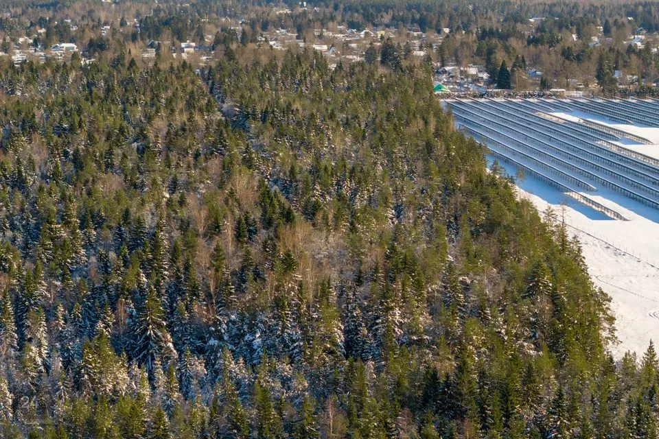 Maatulundusmaa, 52100 m² участок в Saue vald, Maidla küla - фото 4
