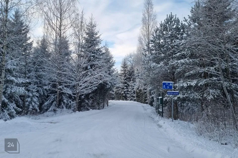 16097 m² Maa  -  Jõgeva vald, Vana-Jõgeva küla - foto 4