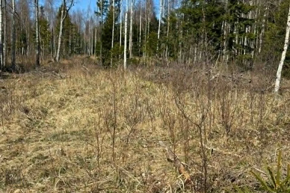 Maatulundusmaa, 21122 m² участок в Hiiumaa vald, Tammistu küla