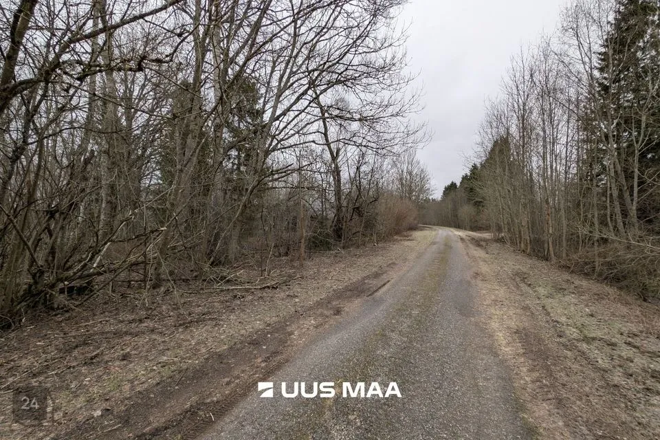 Земля жилой застройки, 15495 m² участок в Lääne-Nigula vald, Allikotsa küla - фото 4