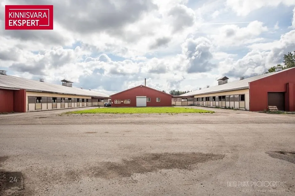 Tootmine, 6348 m² Äripind - Lääneranna vald, Oidrema küla - foto 2