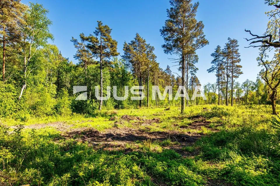 Elamumaa, 9897 m² Maa  -  Jõelähtme vald, Ülgase küla