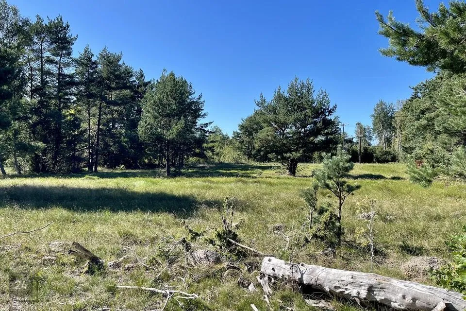 Maatulundusmaa, 34100 m² Maa - Saaremaa vald, Torgu-Mõisaküla - foto 3