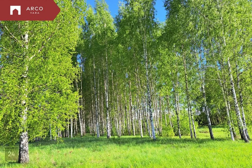Maatulundusmaa, 22300 m² участок в Kambja vald, Pühi küla - фото 4