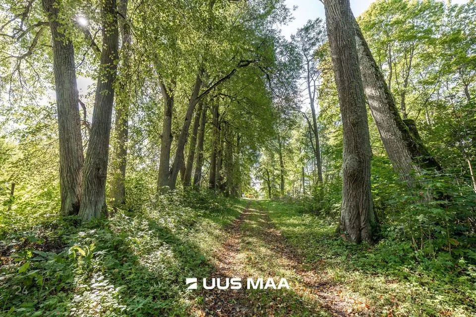 Tootmismaa, 1920 m² Maa  -  Tartu vald, Kaiavere küla - foto 3