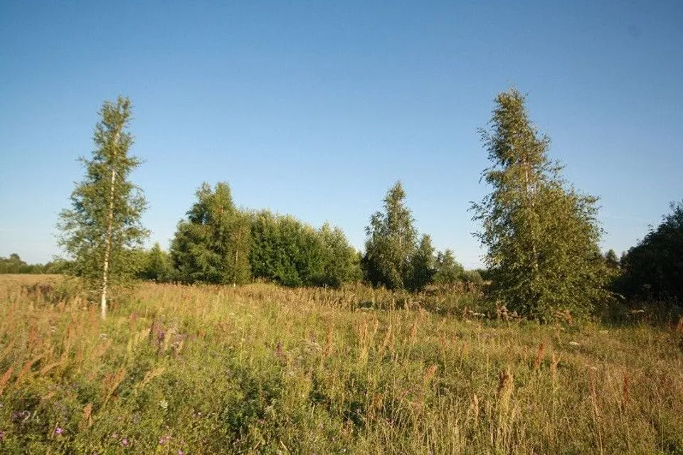 Residential land, 14000 m² land in Pärnu linn, Papsaare küla - photo 2