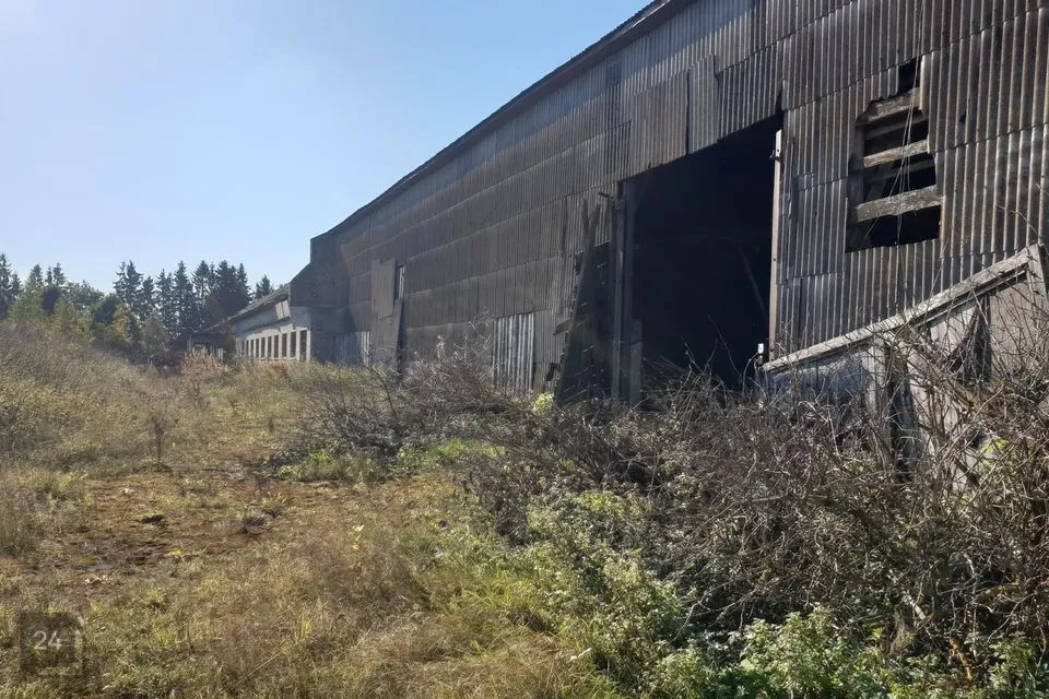 Tootmine, 12313 m² Äripind  -  Jõgeva vald, Teilma küla - foto 2