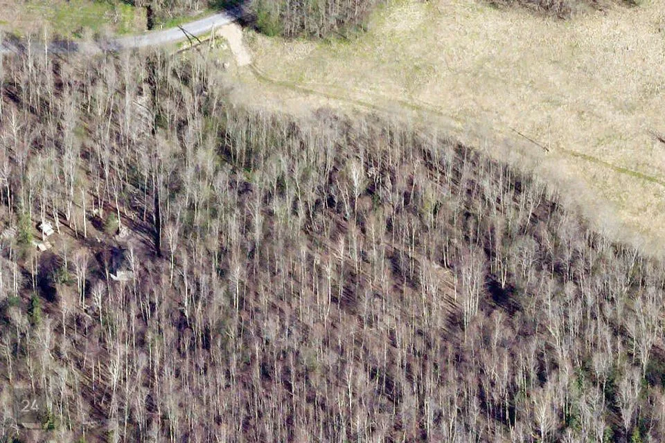 Земля жилой застройки, 8405 m² участок в Lääne-Nigula vald, Tusari küla - фото 5