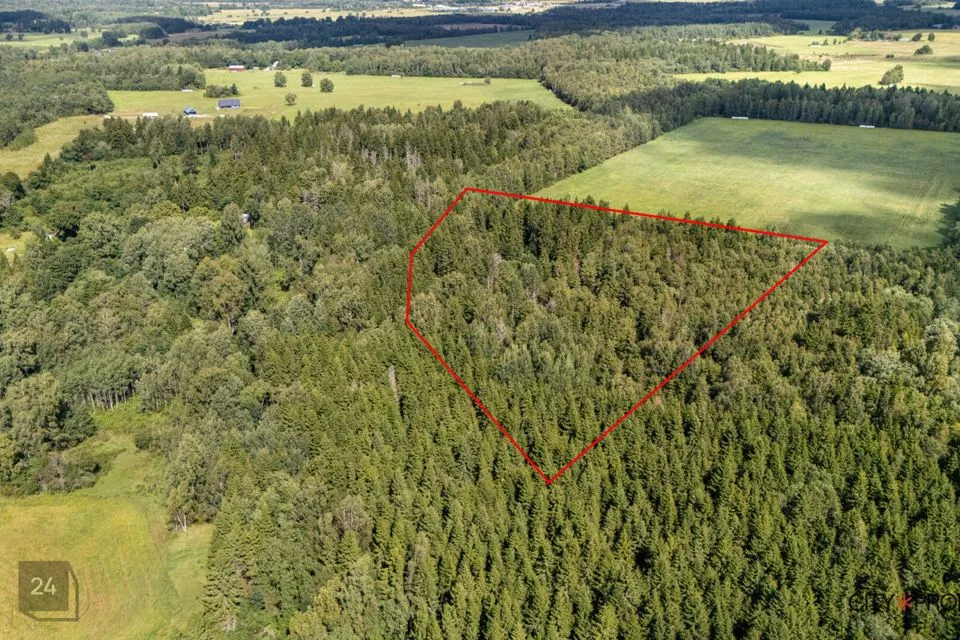 Maatulundusmaa, 20190 m² Maa - Lääne-Harju vald, Nahkjala küla - foto 4