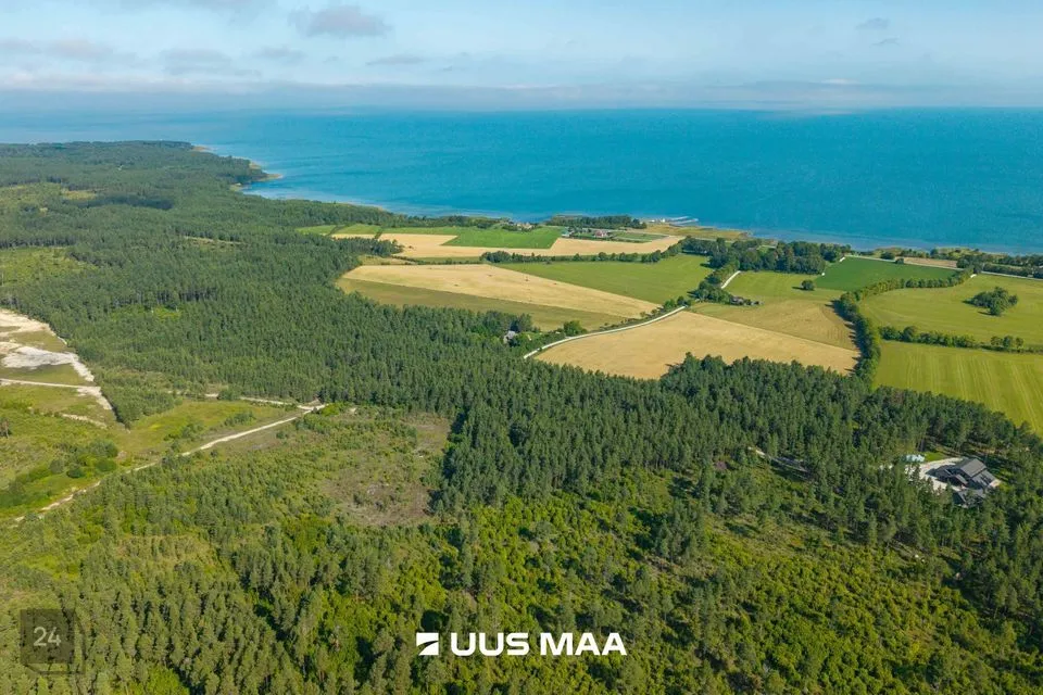 Maatulundusmaa, 52031 m² Maa - Saaremaa vald, Jaani küla - foto 2