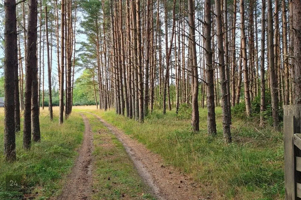Elamumaa, 21784 m² Maa  -  Hiiumaa vald, Mägipe küla - foto 4