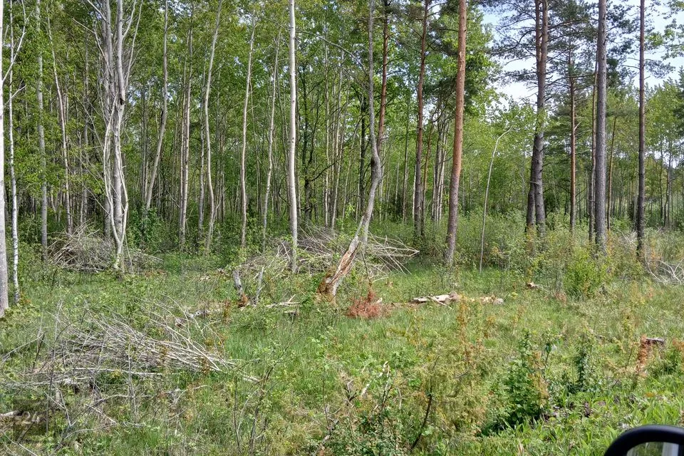Maatulundusmaa, 6457 m² участок в Saaremaa vald, Suur-Randvere küla - фото 5