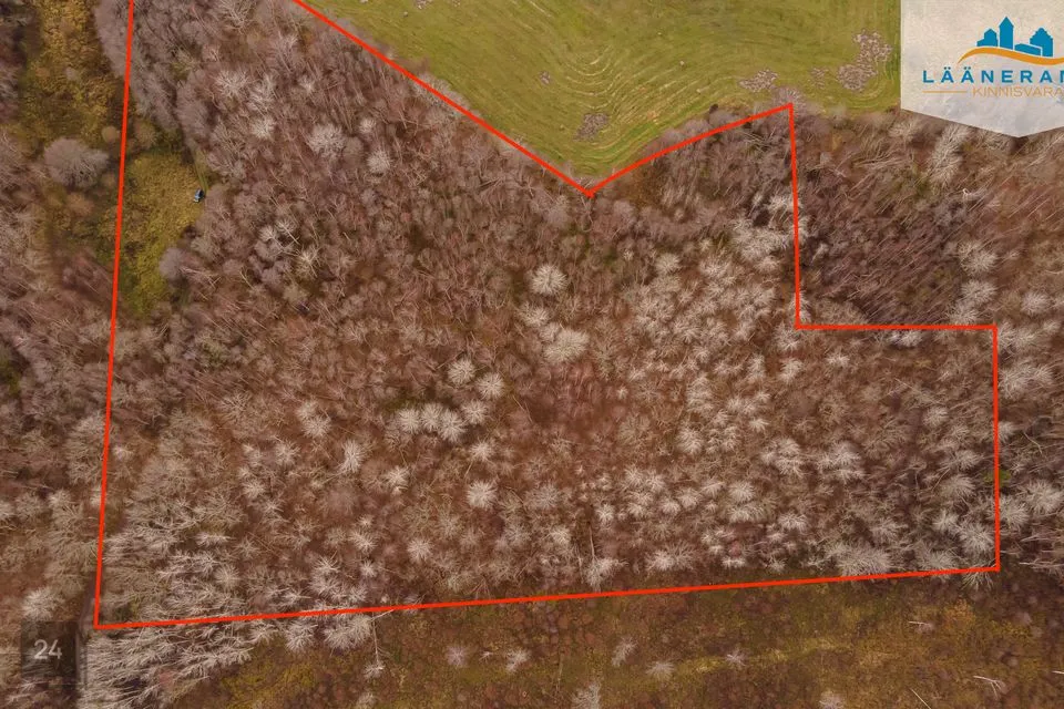 Maatulundusmaa, 50045 m² Maa - Saaremaa vald, Rahuste küla - foto 5