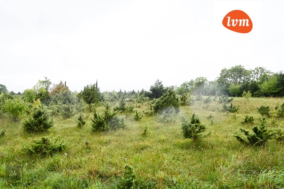 Maatulundusmaa, 52400 m² Maa - Saaremaa vald, Suure-Rootsi - foto 4