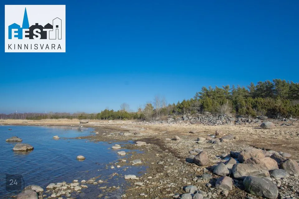 Maatulundusmaa, 370390 m² Maa  -  Lääneranna vald, Esivere küla