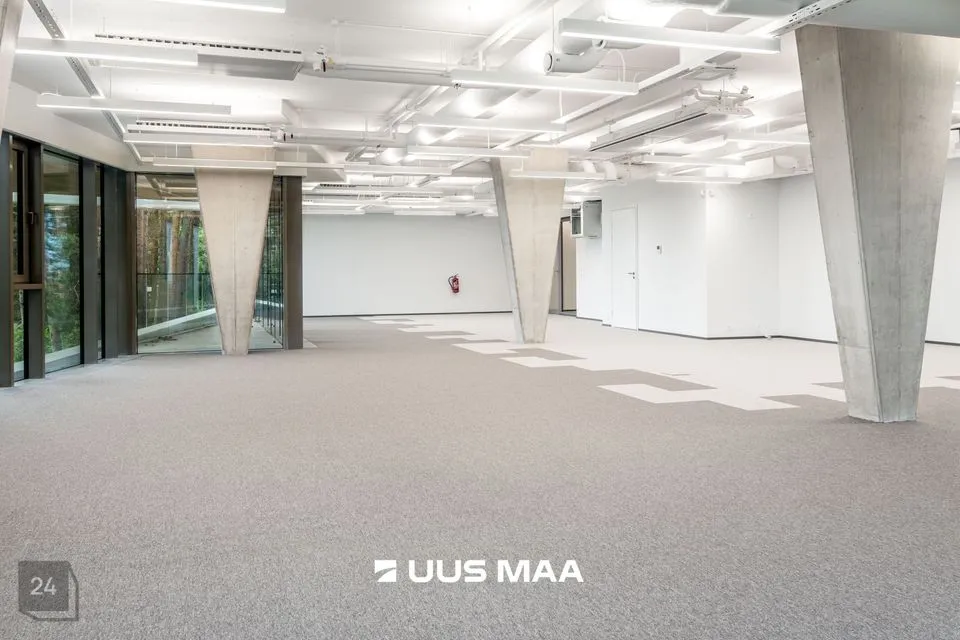 Büroo, 180 m² Äripind  -  Tallinn, Pirita linnaosa - foto 4