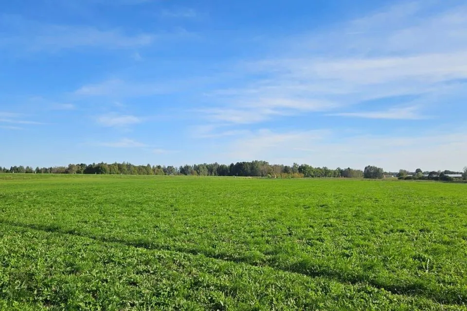 Maatulundusmaa, 1500 m² Maa - Tartu vald, Vahi alevik - foto 2