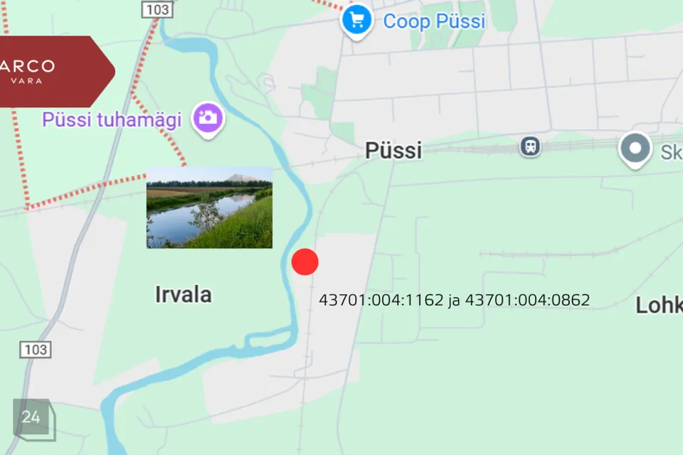 Maatulundusmaa, 12038 m² Maa  -  Lüganuse vald, Lohkuse küla - foto 4